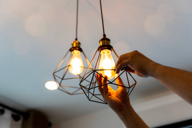 Best Outdoor Lighting Installation  in Elkhorn, WI